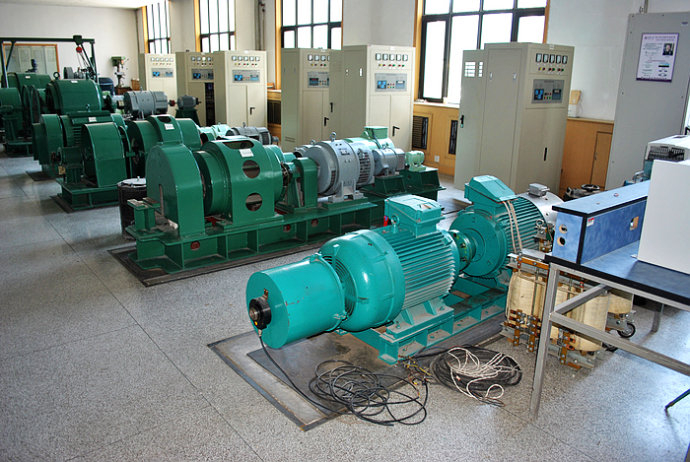 盐田某热电厂使用我厂的YKK高压电机提供动力
